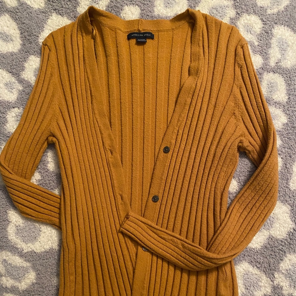 Mustard, American Eagle Cardigan